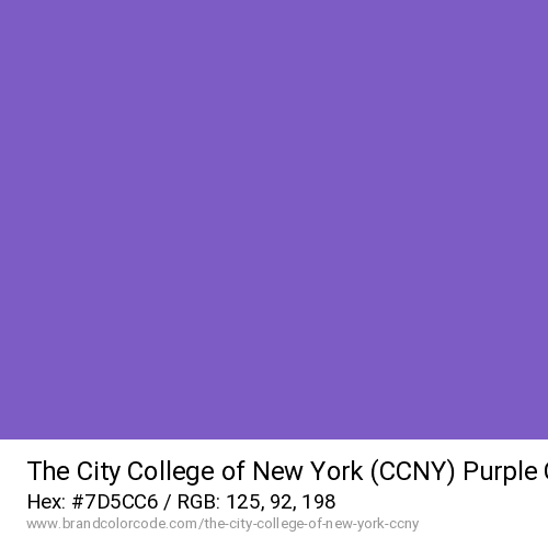 The City College of New York (CCNY)'s Purple color solid image preview