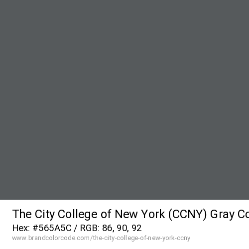 The City College of New York (CCNY)'s Gray color solid image preview