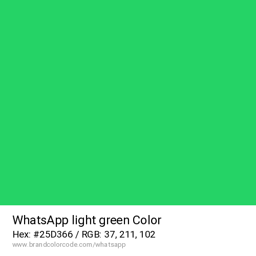 WhatsApp's Light green color solid image preview