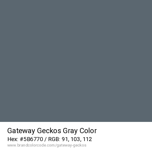 Gateway Geckos's Gray color solid image preview