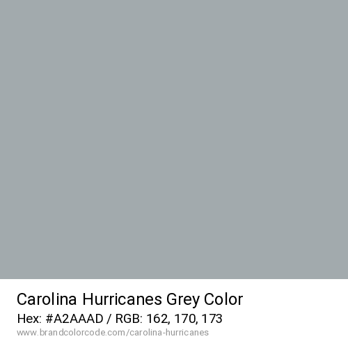 Carolina Hurricanes's Grey color solid image preview