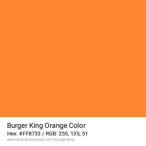 Burger King's Orange color solid image preview