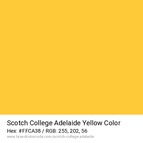 Scotch College Adelaide's Yellow color solid image preview