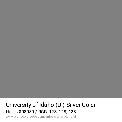 University of Idaho (UI)'s Silver color solid image preview