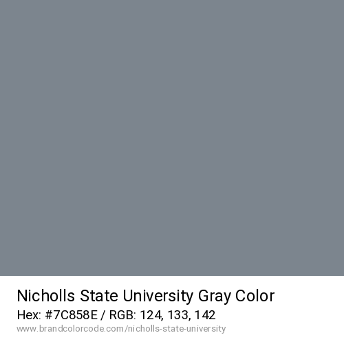 Nicholls State University's Gray color solid image preview