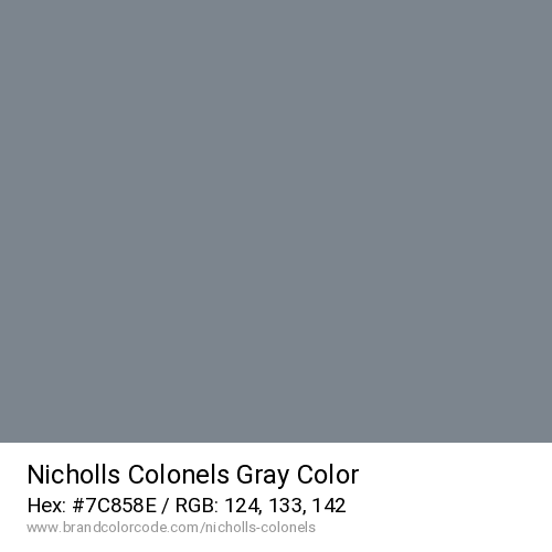 Nicholls Colonels's Gray color solid image preview