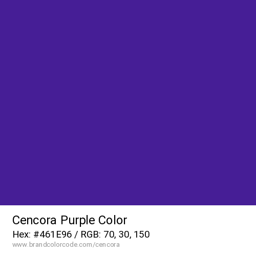 Cencora's Purple color solid image preview