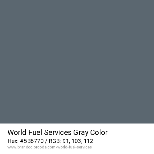World Fuel Services's Gray color solid image preview