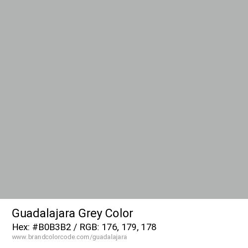Guadalajara's Grey color solid image preview