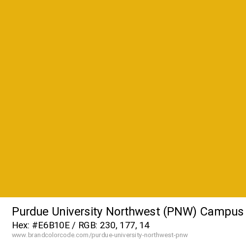 Purdue University Northwest (PNW)'s Campus Gold color solid image preview