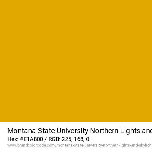 Montana State University Northern Lights and Skylights's Gold color solid image preview