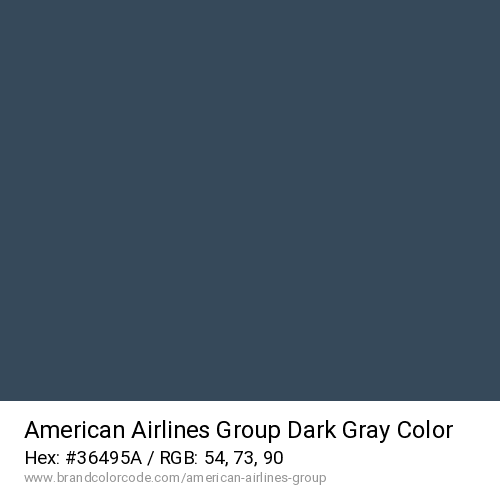 American Airlines Group's Dark Gray color solid image preview