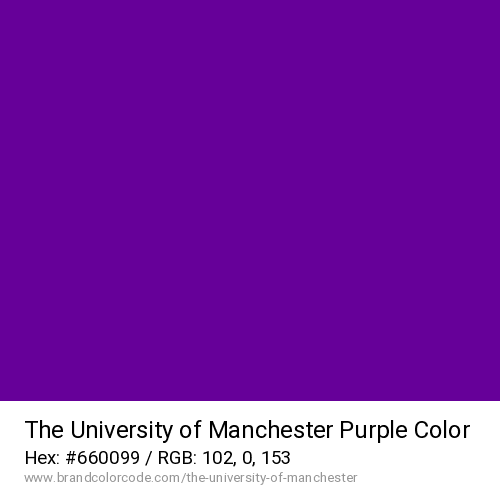 The University of Manchester's Purple color solid image preview