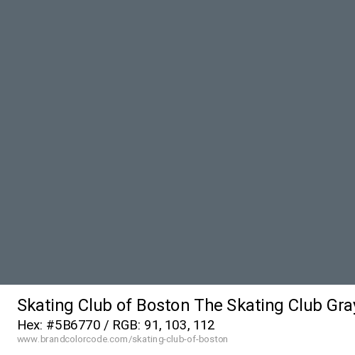 Skating Club of Boston's The Skating Club Gray color solid image preview