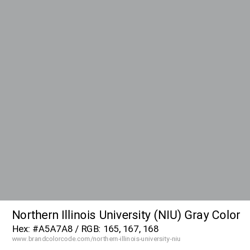 Northern Illinois University (NIU)'s Gray color solid image preview