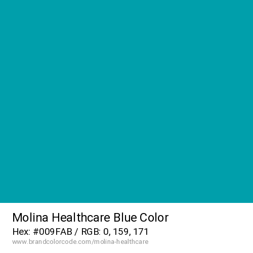 Molina Healthcare's Blue color solid image preview