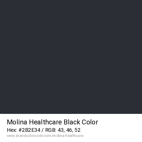 Molina Healthcare's Black color solid image preview