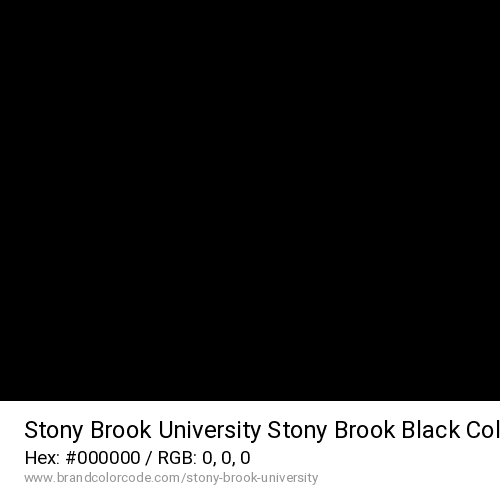 Stony Brook University's Stony Brook Black color solid image preview