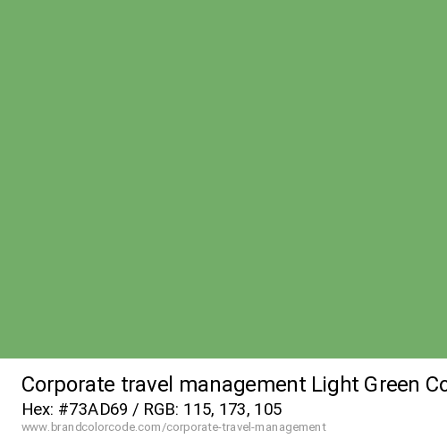Corporate travel management's Light Green color solid image preview