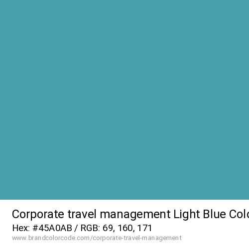 Corporate travel management's Light Blue color solid image preview
