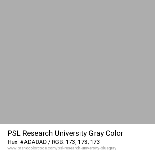 PSL Research University's Gray color solid image preview