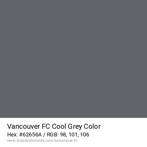 Vancouver FC's Cool Grey color solid image preview