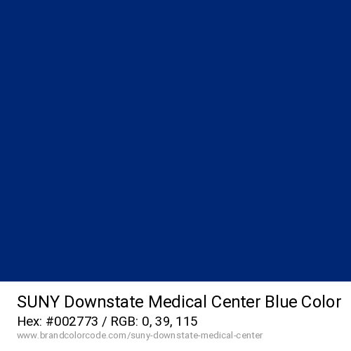 SUNY Downstate Medical Center's Blue color solid image preview