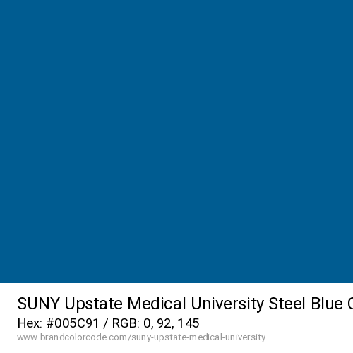 SUNY Upstate Medical University's Steel Blue color solid image preview
