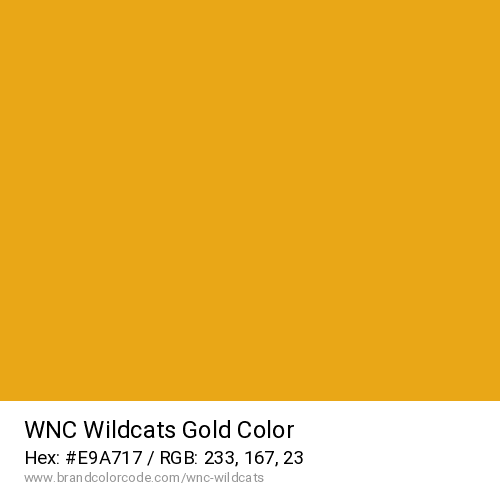 WNC Wildcats's Gold color solid image preview