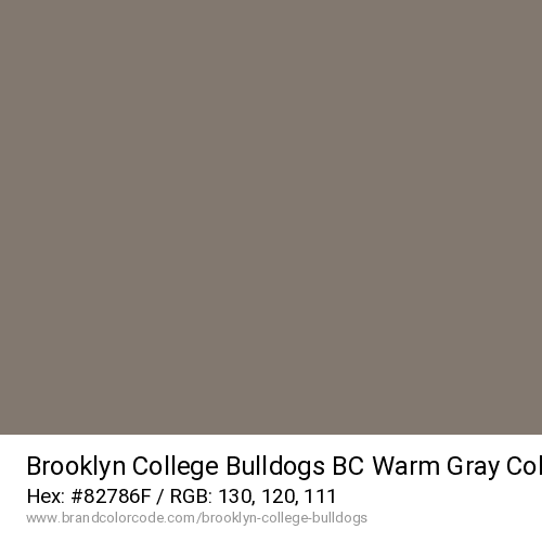 Brooklyn College Bulldogs's BC Warm Gray color solid image preview
