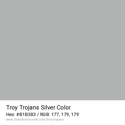 Troy Trojans's Silver color solid image preview