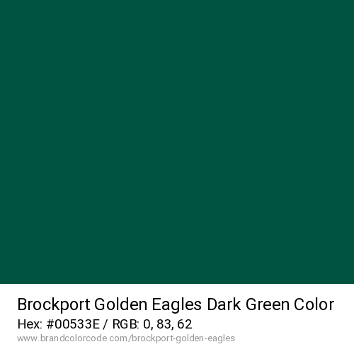 Brockport Golden Eagles's Dark Green color solid image preview