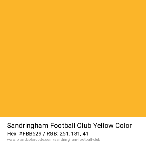 Sandringham Football Club's Yellow color solid image preview