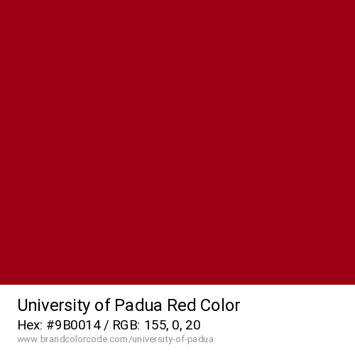 University of Padua's Red color solid image preview