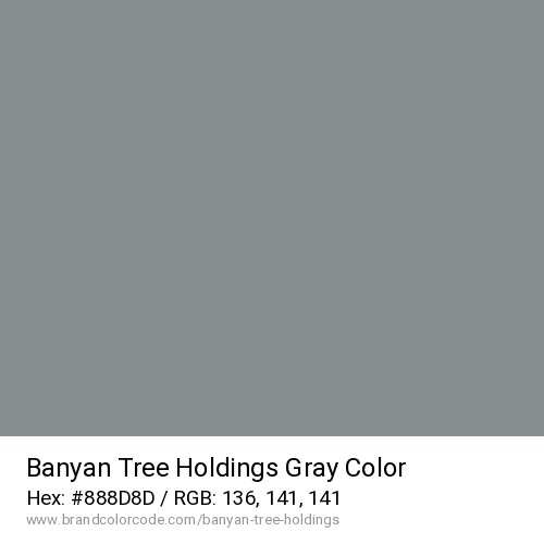 Banyan Tree Holdings's Gray color solid image preview