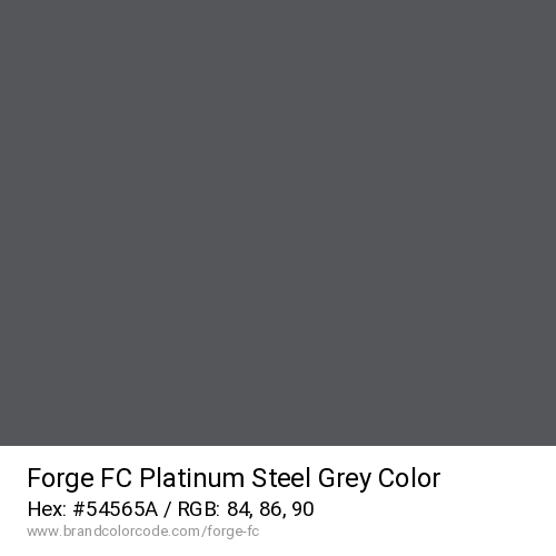 Forge FC's Platinum Steel Grey color solid image preview
