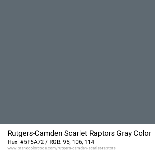 Rutgers-Camden Scarlet Raptors's Gray color solid image preview
