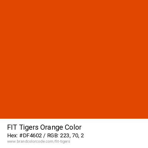 FIT Tigers's Orange color solid image preview