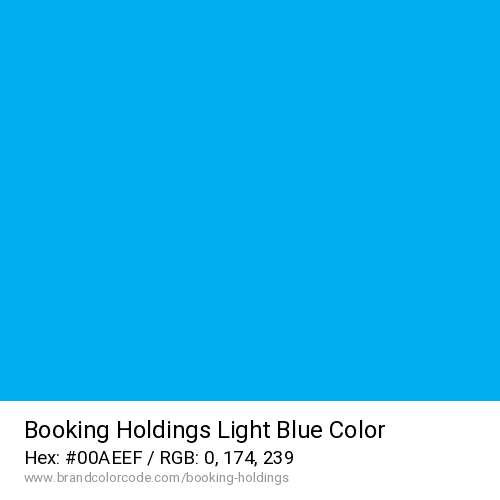 Booking Holdings's Light Blue color solid image preview