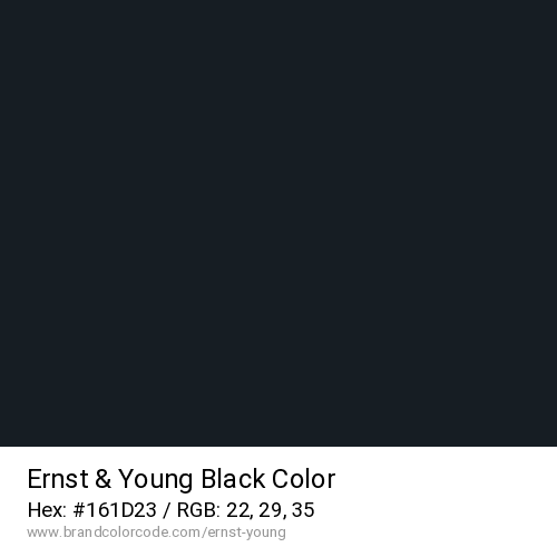 Ernst & Young's Black color solid image preview