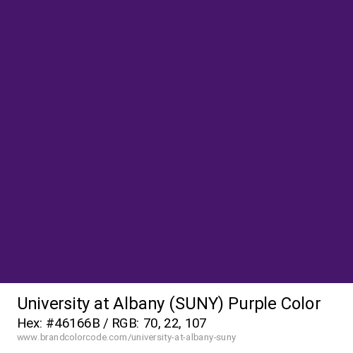 University at Albany (SUNY)'s Purple color solid image preview