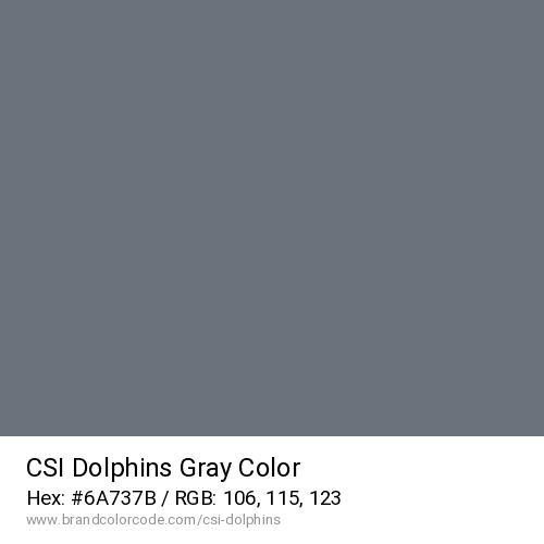 CSI Dolphins's Gray color solid image preview