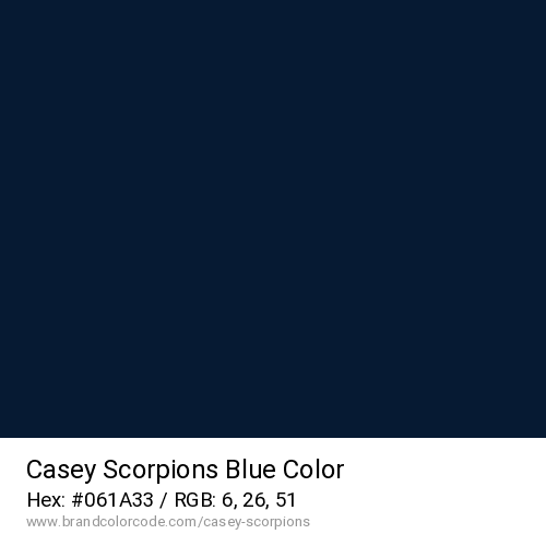 Casey Scorpions's Blue color solid image preview