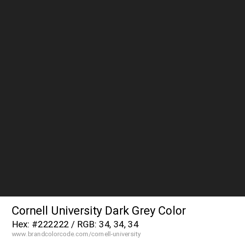 Cornell University's Dark Grey color solid image preview