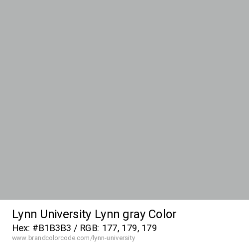 Lynn University's Lynn gray color solid image preview