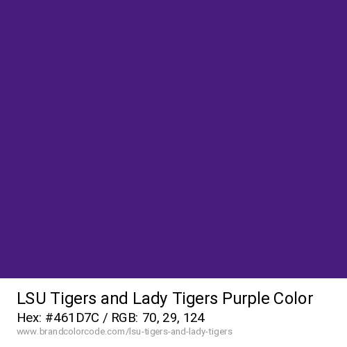 LSU Tigers and Lady Tigers's Purple color solid image preview