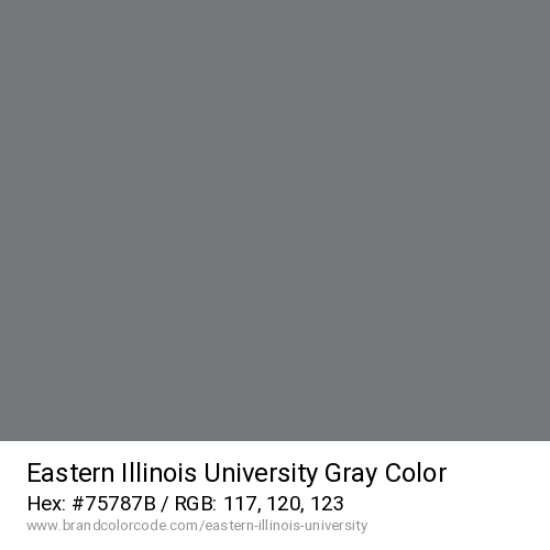 Eastern Illinois University's Gray color solid image preview
