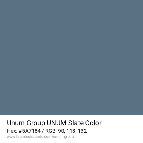 Unum Group's UNUM Slate color solid image preview