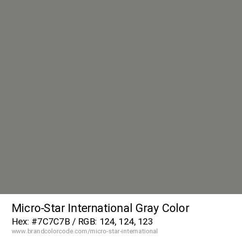 Micro-Star International's Gray color solid image preview