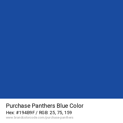 Purchase Panthers's Blue color solid image preview